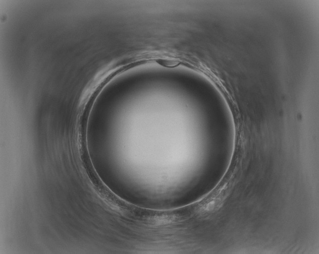 X0000078890103200611131240