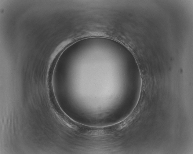 X0000078890104200611131240