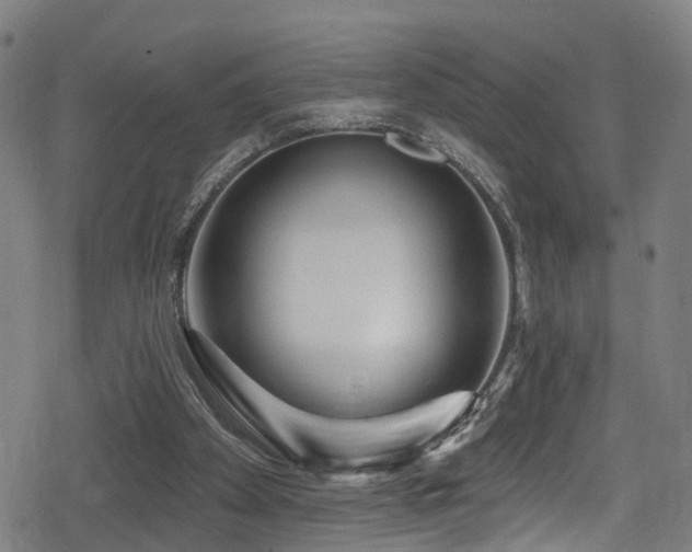 X0000078890105200611131240