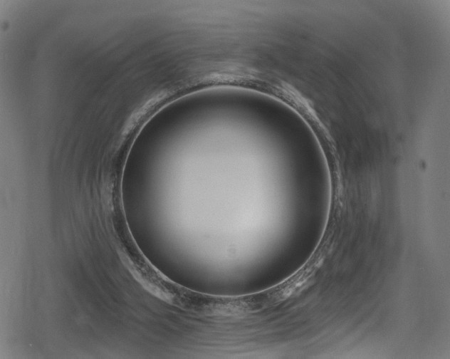 X0000078890106200611131240