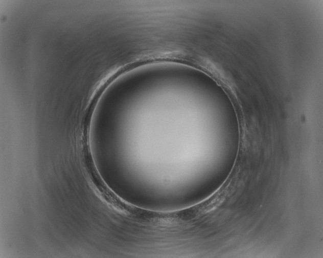 X0000078890107200611131240