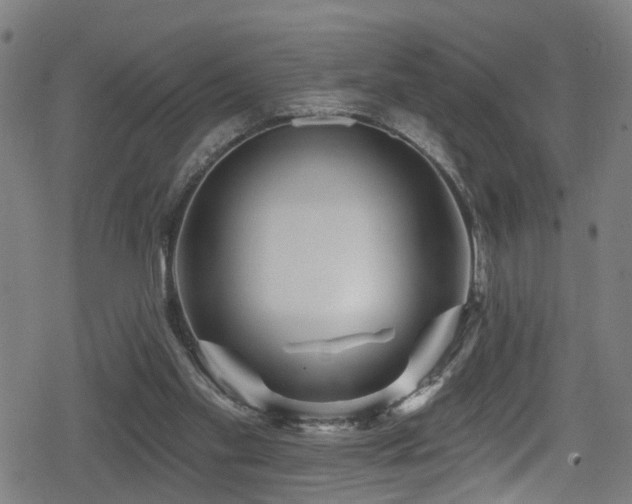 X0000078890109200611131240