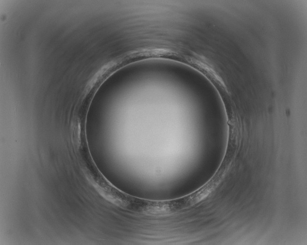 X0000078890110200611131240