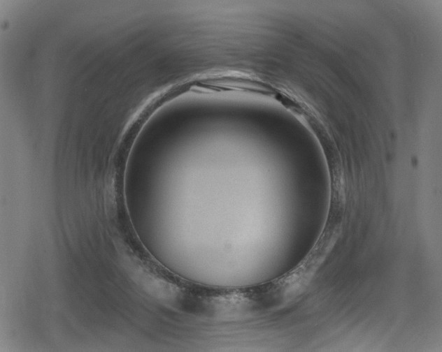 X0000078890112200611131240