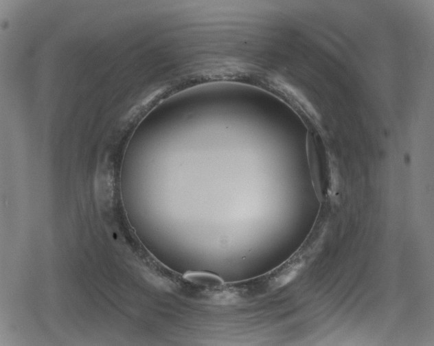 X0000078890113200611131240