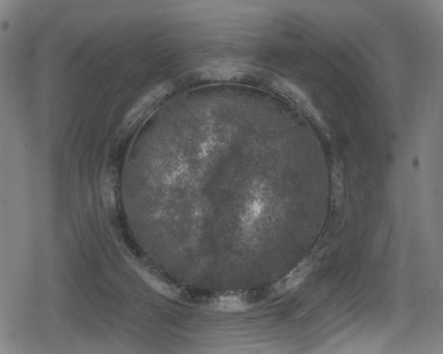 X0000078890114200611131240