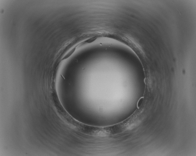 X0000078890115200611131240