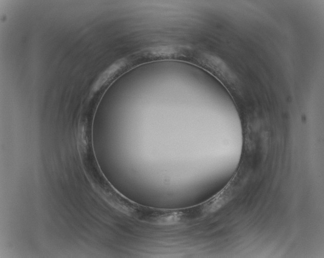 X0000078890116200611131240