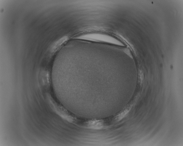 X0000078890117200611131240