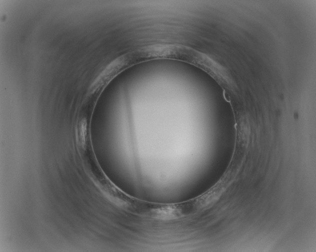 X0000078890118200611131240