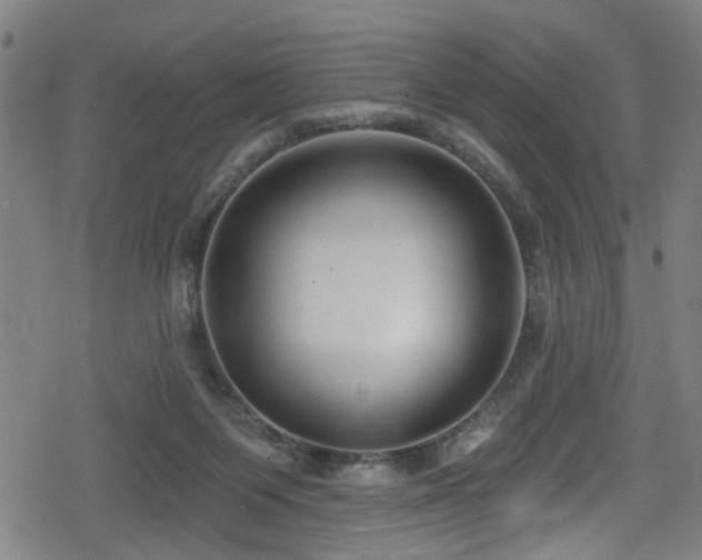 X0000078890119200611131240