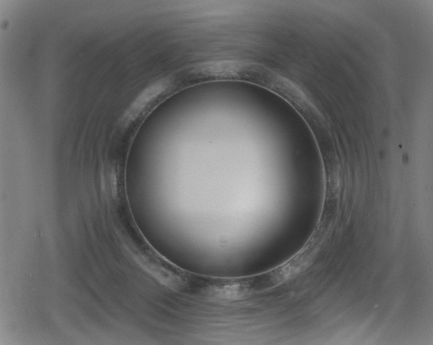 X0000078890120200611131239