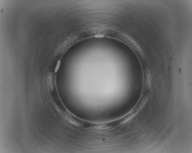 X0000078890121200611131239