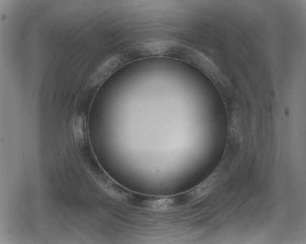 X0000078890122200611131239