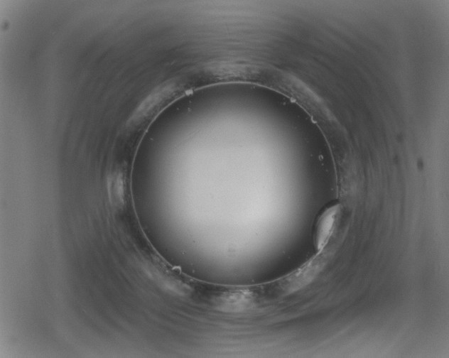 X0000078890124200611131239