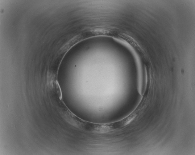 X0000078890125200611131239