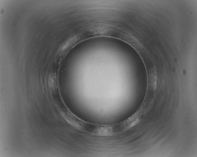 X0000078890126200611131239