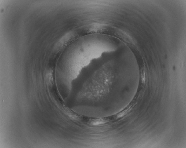 X0000078890127200611131239