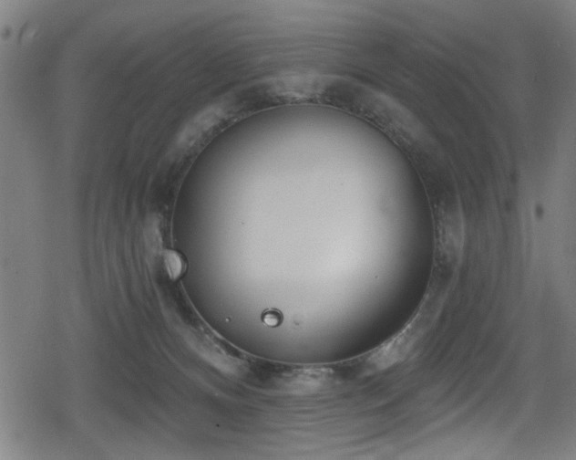 X0000078890128200611131239