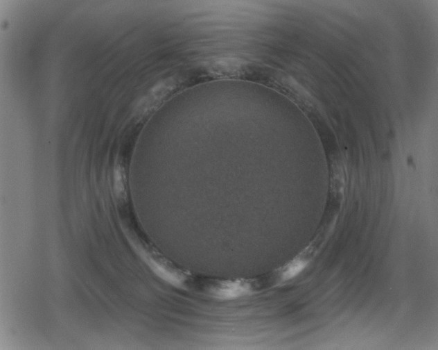 X0000078890130200611131239