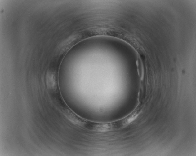 X0000078890131200611131239