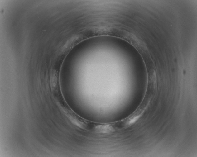 X0000078890133200611131239