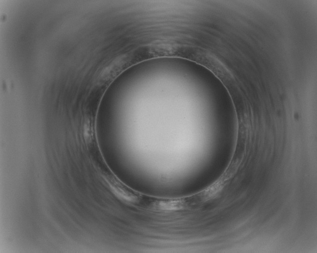 X0000078890134200611131239