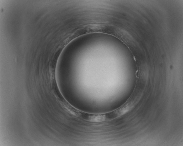 X0000078890135200611131239