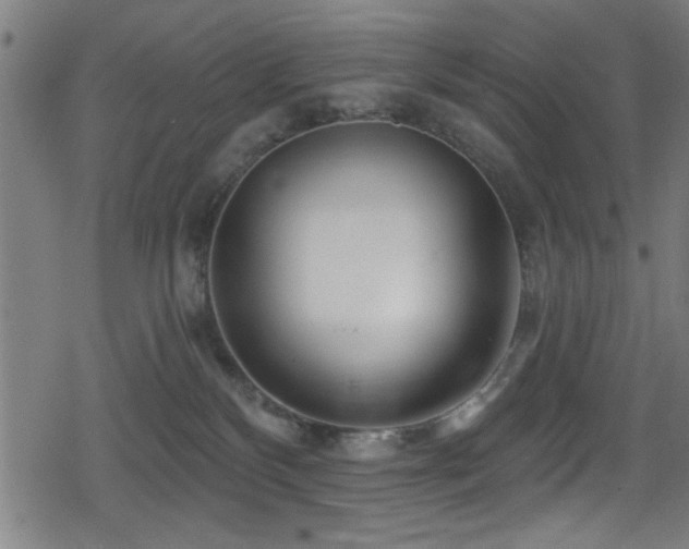 X0000078890136200611131239