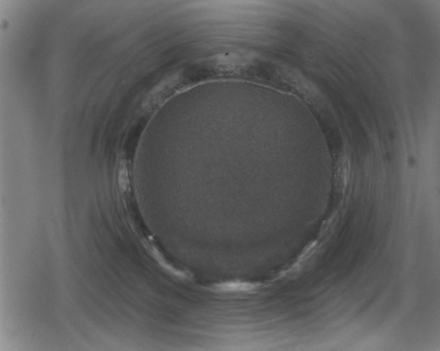 X0000078890137200611131239