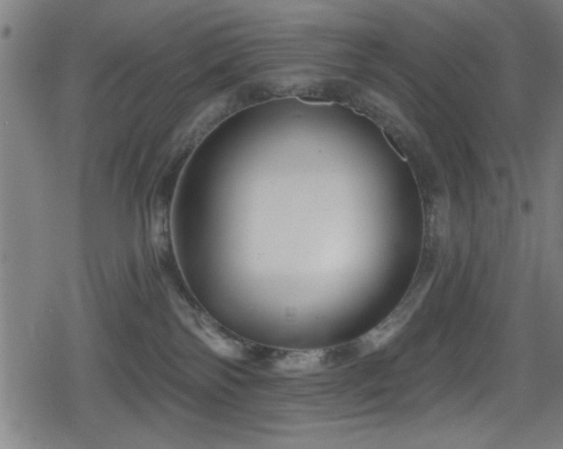 X0000078890138200611131239