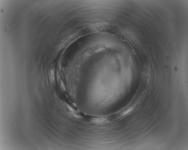 X0000078890139200611131239