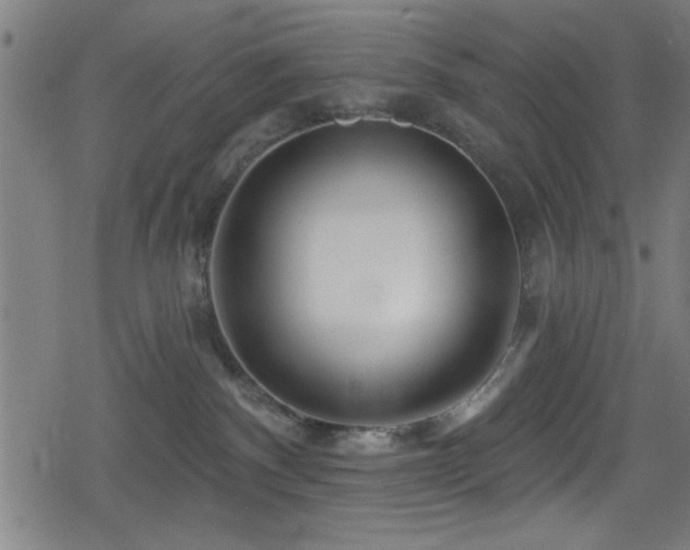 X0000078890140200611131239