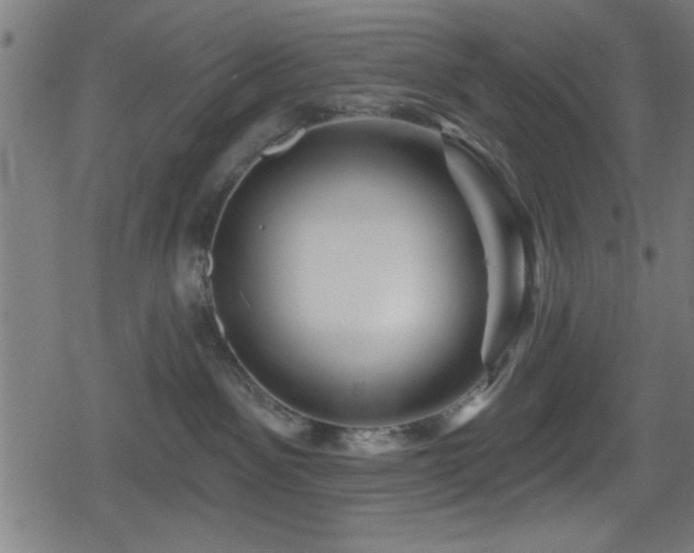 X0000078890141200611131239