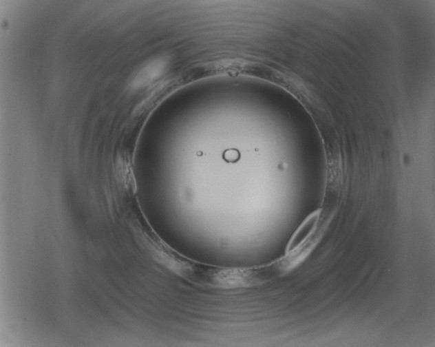 X0000078890142200611131239