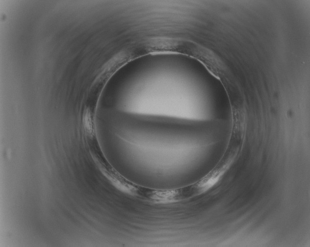 X0000078890143200611131239