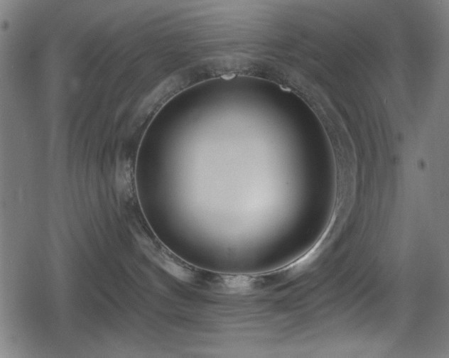 X0000078890144200611131239