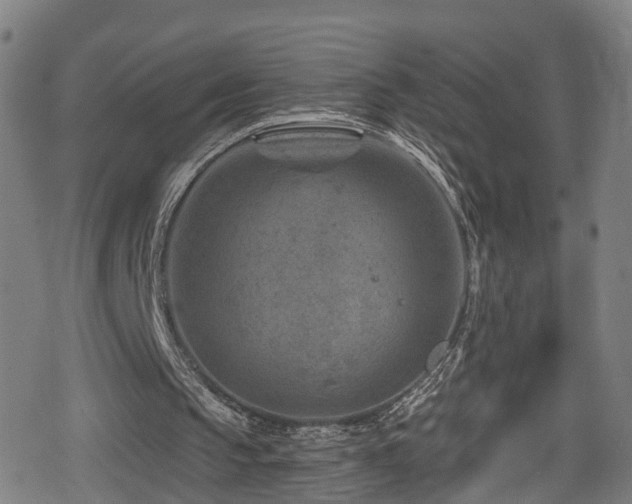 X0000078890145200611131238