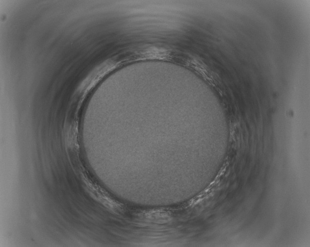 X0000078890146200611131238