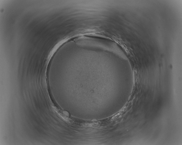 X0000078890147200611131238