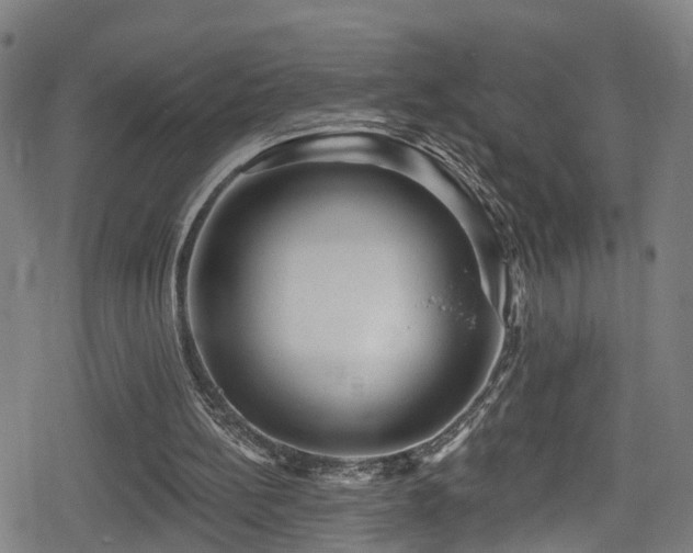 X0000078890148200611131238