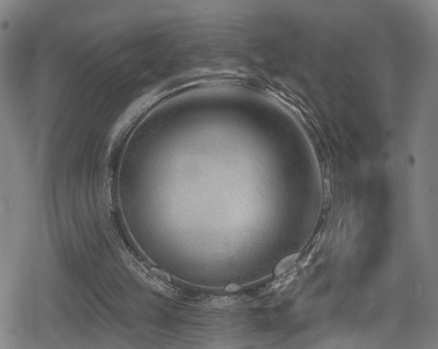 X0000078890149200611131238