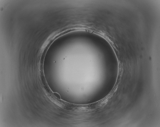 X0000078890151200611131238