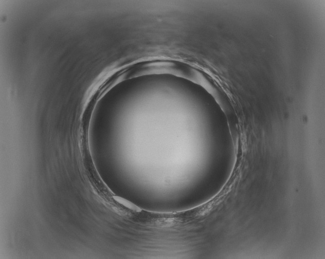 X0000078890152200611131238