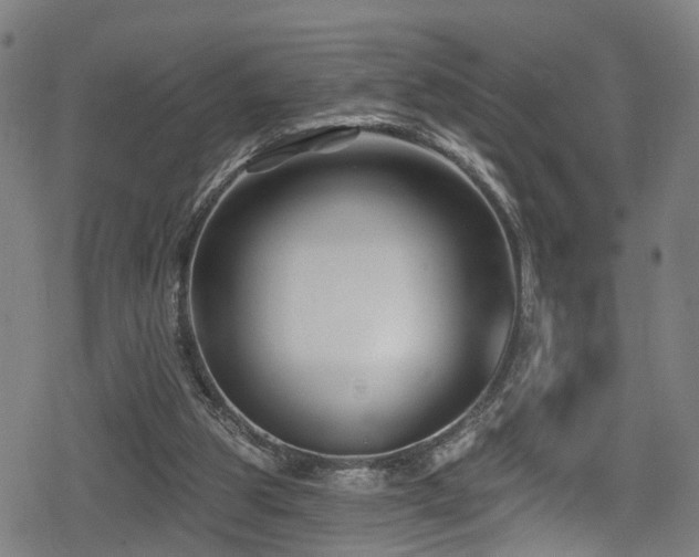 X0000078890153200611131238