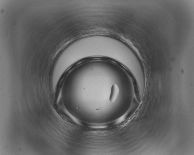 X0000078890154200611131238