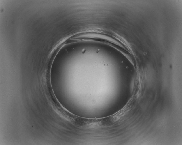 X0000078890155200611131238