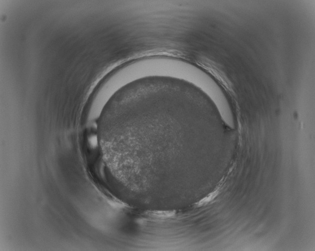 X0000078890156200611131239