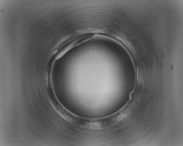 X0000078890157200611131239