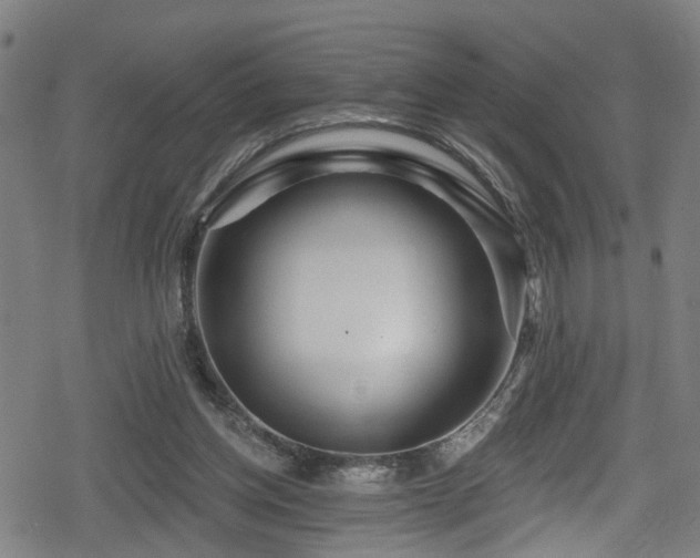 X0000078890158200611131239